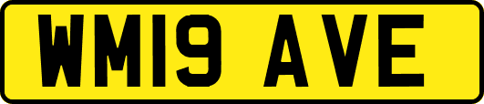 WM19AVE