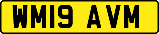 WM19AVM