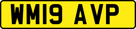 WM19AVP