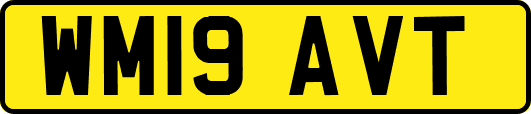 WM19AVT