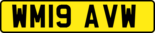 WM19AVW