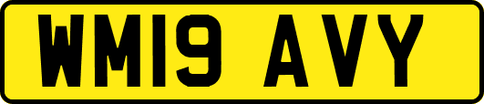 WM19AVY