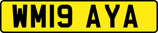 WM19AYA