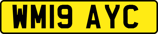 WM19AYC