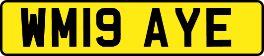 WM19AYE