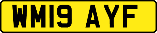 WM19AYF
