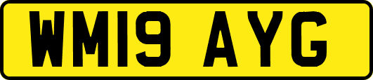 WM19AYG