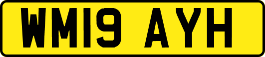 WM19AYH
