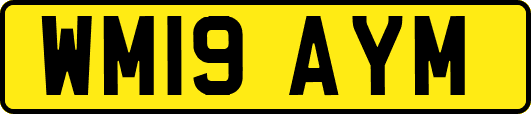 WM19AYM
