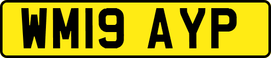 WM19AYP