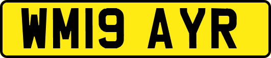 WM19AYR