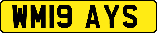 WM19AYS