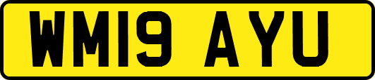 WM19AYU