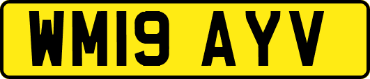 WM19AYV