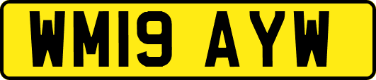 WM19AYW