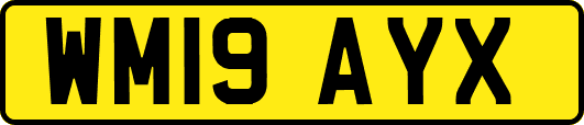 WM19AYX