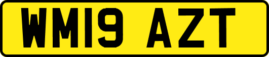 WM19AZT