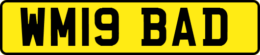 WM19BAD