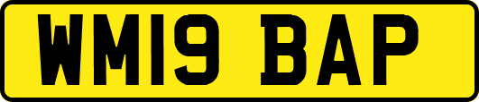 WM19BAP