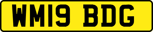 WM19BDG