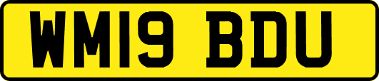 WM19BDU