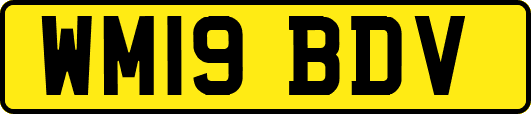 WM19BDV