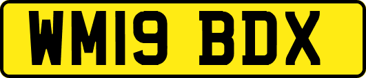 WM19BDX