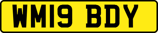 WM19BDY