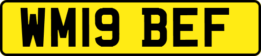 WM19BEF