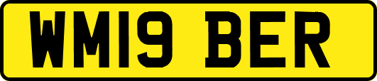 WM19BER