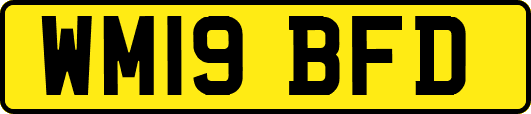 WM19BFD