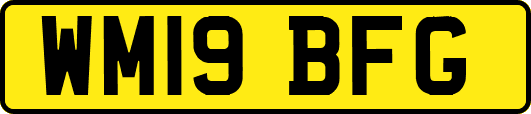 WM19BFG