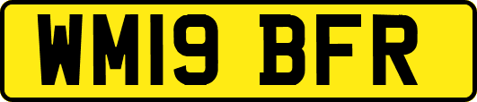WM19BFR