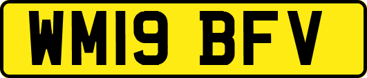 WM19BFV
