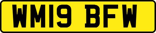 WM19BFW