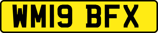 WM19BFX