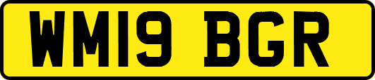 WM19BGR
