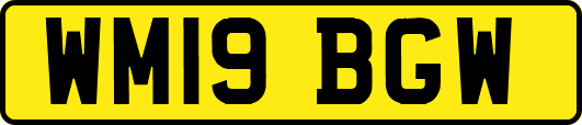 WM19BGW