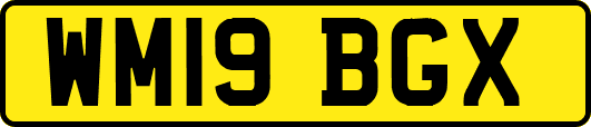 WM19BGX