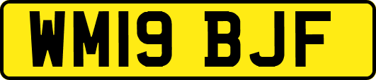 WM19BJF