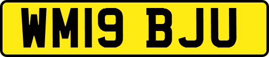 WM19BJU