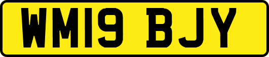WM19BJY