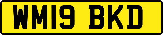 WM19BKD