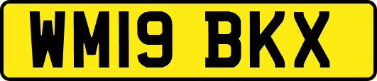 WM19BKX