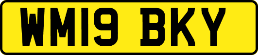 WM19BKY
