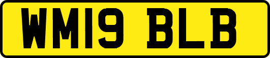 WM19BLB