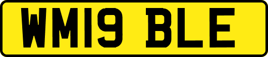 WM19BLE