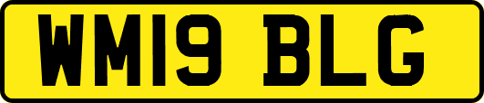WM19BLG