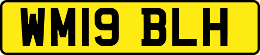 WM19BLH