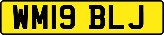 WM19BLJ